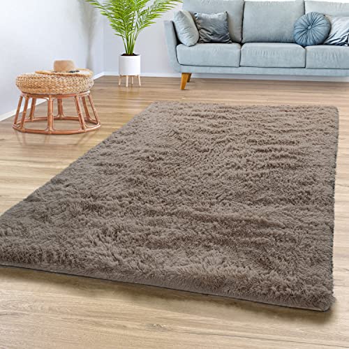 TT Home Teppich Wohnzimmer Hochflor Langflor Weich Soft Modernes Einfarbiges Design, Farbe: Beige Taupe, Größe:60x100 cm von TT Home