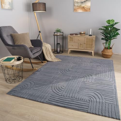 TT Home Wohnzimmer Teppich Esszimmer Kurzflor Geometrische Optik Skandi Boho Unifarben, Farbe:Dunkelsilber Anthrazit, Größe:200x280 cm von TT Home