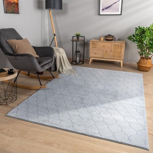 TT Home Wohnzimmer Teppich Esszimmer Kurzflor Geometrische Optik Skandi Boho Unifarben, Farbe:Hellgrau Grau, Größe:60x100 cm von TT Home