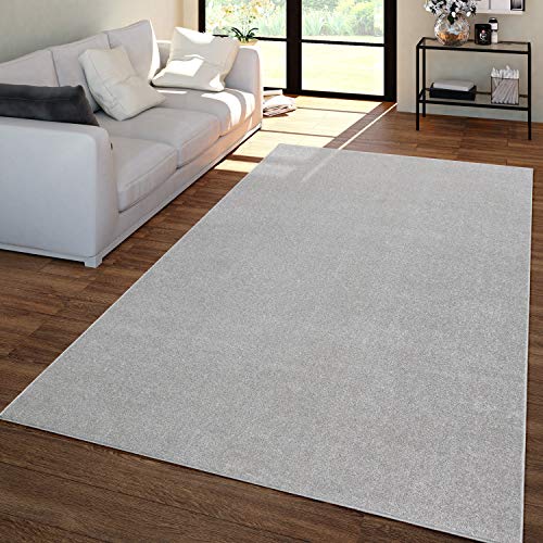 TT Home Wohnzimmer Teppich Kurzflor Unifarbendes Design Modern Und Zeitlos, Farbe:Silber, Größe:120x170 cm von TT Home