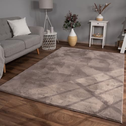 Wohnzimmer Teppich Hochflor Langflor Kunstfell Weich Modern Unifarben Flauschig, Farbe: Beige Taupe, Größe:120x170 cm von TT Home