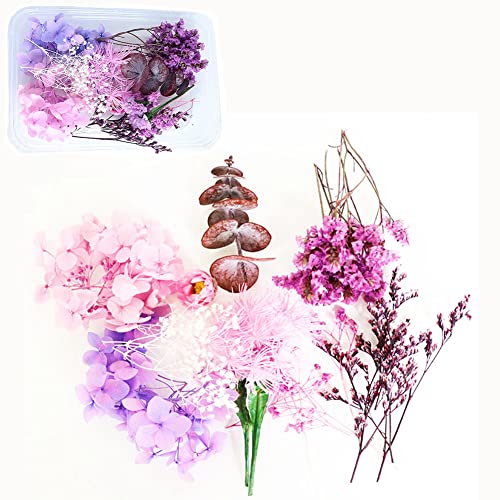 TTBDDM 1 Schachtel Natürliche Getrocknete Blumen, Gemischte Getrocknete Blumen, DIY Natürliche Getrocknet Blumen Set, zum Basteln von Lesezeichen, Bastelkarten und Scrapbooking (Violett) von TTBDDM