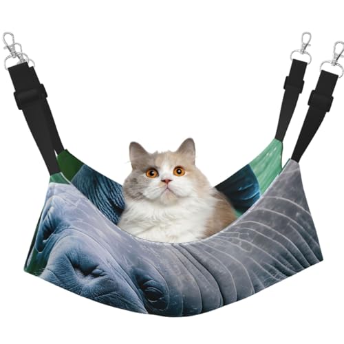 TTIGLHOH Seekuh Tiere Kalb Haustier Hängematte Katzen Frettchen Hängematte Weiches Bett Geeignet Für Haustier Meerschweinchen Hamster Kätzchen TTIGLHOH Seekuh Tiere Kalb Haustier Hängematte Katzen Frettchen Hängematte Weiches Bett Geeignet Für Haustier Meerschweinchen Hamster Kätzchen von TTIGLHOH