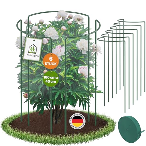 TTL GARDEN Strauchstützen 100cm x 40cm 6er Set + Klettband - Pflanzenstütze Stahl rostfrei Kunststoff beschichtet - Pflanzenhalter Staudenhalter Blumenhalter Hortensie Rose Pfingstrose Ø 5,5mm grün von TTL GARDEN