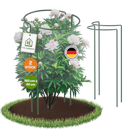 TTL GARDEN Strauchstützen 160cm x 40cm 2er Set - Pflanzenstütze Stahl rostfrei Kunststoff beschichtet - Pflanzenhalter Staudenhalter Blumenhalter - Hortensie Rose Pfingstrose Ø 5,5mm grün von TTL GARDEN