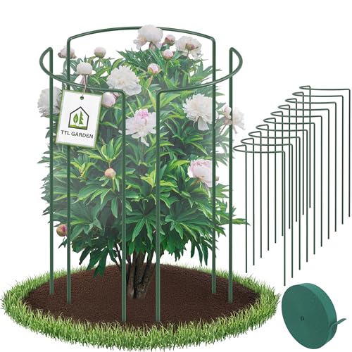 TTL GARDEN Strauchstützen 70cm x 40cm 10er Set + Klettband - Strauchstützen Stahl rostfrei Kunststoff beschichtet - Pflanzenhalter Staudenhalter Blumenhalter - Hortensie Rosen Pfingstrosen Ø5,5mm grün von TTL GARDEN