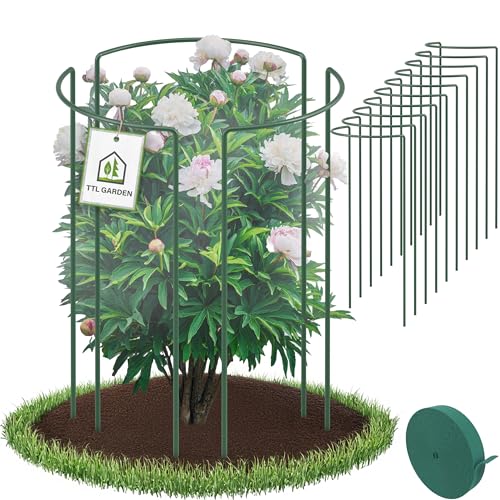 TTL GARDEN Strauchstützen 70cm x 40cm 16er Set + Klettband - Pflanzenstütze Stahl rostfrei Kunststoff beschichtet - Pflanzenhalter Staudenhalter Blumenhalter Hortensie Rose Pfingstrose Ø 5,5mm grün von TTL GARDEN