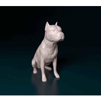 3D Gedruckte Pitbull Statue - Starke Hunde Figur, Haustier Tribute Skulptur, Muskulöse Rasse Dekor von TTPrinting