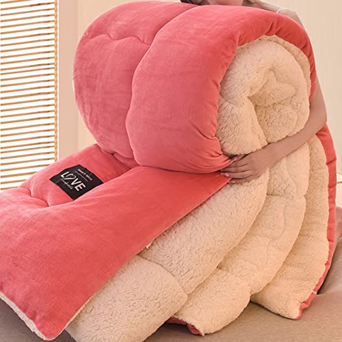 TUCVZVO Bettdecke,Winter Decke Dicker Warme Decken Für Den Winter,Mikrofaser Steppdecke,Lauschige Kaschmir-Steppdecken, Winterwarm, Plüsch Winterdecke,150x200cm(3kg) von TUCVZVO