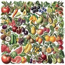 50Stück Transparent Retro Obst Aufkleber für Auto,Motorrad,Gitarre,Laptop,Gepäck,Stoßstange,Kühlschrank,Niedliche Gemüse Wasserdicht Vinyl Decal,Erwachsene Geschenk,Ästhetische Graffiti Sticker 50Stück Transparent Retro Obst Aufkleber für Auto,Motorrad,Gitarre,Laptop,Gepäck,Stoßstange,Kühlschrank,Niedliche Gemüse Wasserdicht Vinyl Decal,Erwachsene Geschenk,Ästhetische Graffiti Sticker von TUIOBUN