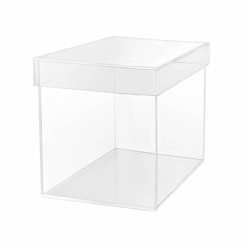 TUKA-i-AKUT 20x20x20cm Acrylbox 5-Seitig mit Deckel, Würfelform Acryl Schaukasten Transparente Geschenkbox, Präsentationsbox Vitrine für Museum Sammler Schmuck Kosmetik Deko Aufbewahrung, TKD8254 von TUKA-i-AKUT