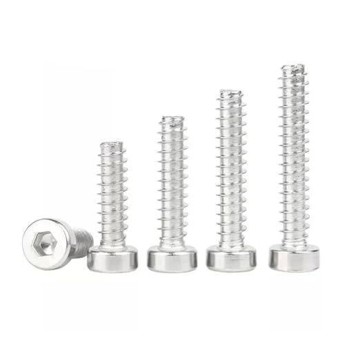 20–200 Stück M1.7 M2 M2.3 M2.6 M3 M3.5 M4 M5 M6 304 Edelstahl dünner runder zylindrischer Kopf Sechskant selbstschneidende flache Schwanzschraube(3mm,M2-200pcs) von TULDYS