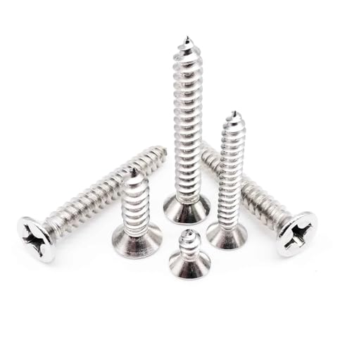 TULDYS 50 Stück M1 M1,2 M1,4 M1,7 M2 M2,6 M3 M3,5 M4 Kleine 304 Edelstahl Kreuz Flachsenkkopf Blechschraube(8mm,M1.7) von TULDYS