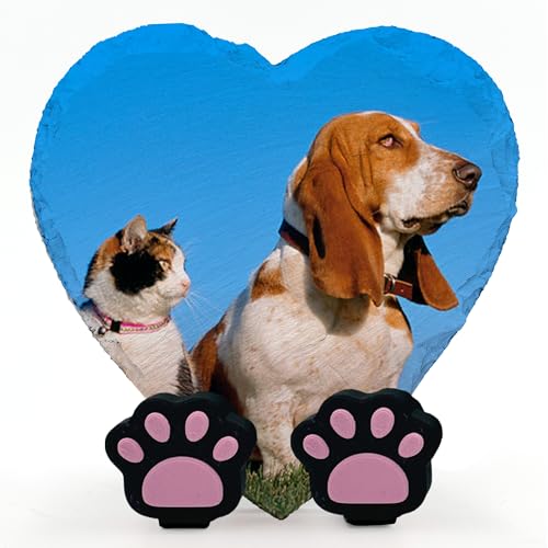 Personalisierte Gedenk Herzform Foto Namenstafel für Haustier Katze Hund Schiefer Naturstein Rahmen Pfote Grab Marker mit Pfote Display Ständer - Full Print - V1 Größe | 10 x 10 cm | Personalisierte Gedenk Herzform Foto Namenstafel für Haustier Katze Hund Schiefer Naturstein Rahmen Pfote Grab Marker mit Pfote Display Ständer - Full Print - V1 Größe | 10 x 10 cm | von TULLUN