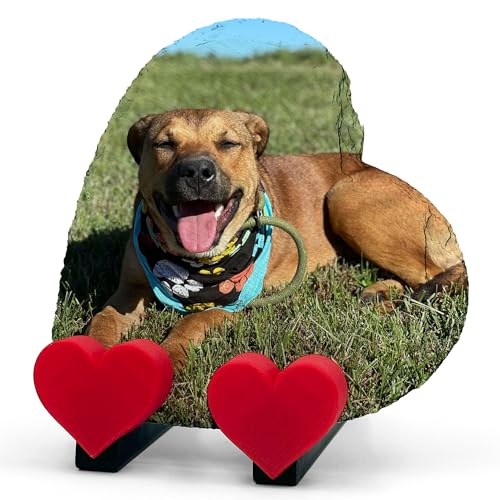 Personalisierte Foto Text Memorial Herzform Plaque für Haustier Katze Hund Schiefer Naturstein Rahmen Pfote Grab Marker mit Herz Display Ständer - Full Print - V2 Größe | 10 x 10 cm | Personalisierte Foto Text Memorial Herzform Plaque für Haustier Katze Hund Schiefer Naturstein Rahmen Pfote Grab Marker mit Herz Display Ständer - Full Print - V2 Größe | 10 x 10 cm | von TULLUN