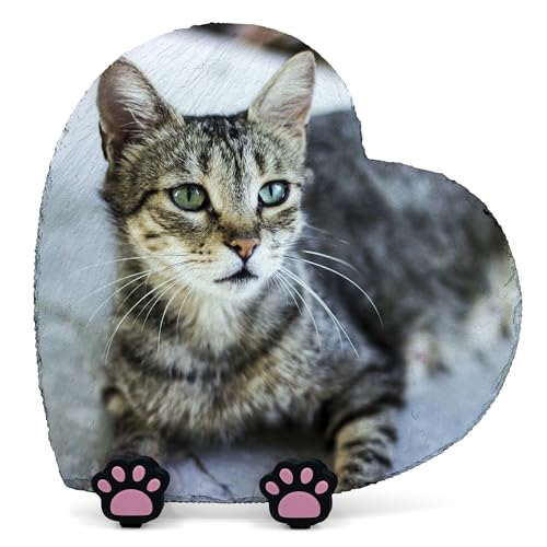 TULLUN Personalisierte Gedenkplatte in Herzform für Haustier Katze Hund Schiefer Naturstein Rahmen Pfote Grab Marker mit Pfote Display Ständer - Full Print - V2 Größe | 25 x 25 cm | TULLUN Personalisierte Gedenkplatte in Herzform für Haustier Katze Hund Schiefer Naturstein Rahmen Pfote Grab Marker mit Pfote Display Ständer - Full Print - V2 Größe | 25 x 25 cm | von TULLUN