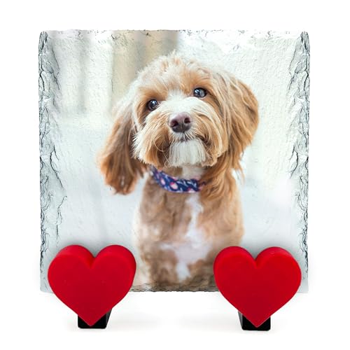 TULLUN Personalisierte Gedenktafel für Haustier Katze Hund Schiefer Naturstein Rahmen Pfote Grab Marker mit Herz Display Ständer - Full Print - Größe | 4" x 4" oder 10 x 10 cm | TULLUN Personalisierte Gedenktafel für Haustier Katze Hund Schiefer Naturstein Rahmen Pfote Grab Marker mit Herz Display Ständer - Full Print - Größe | 4" x 4" oder 10 x 10 cm | von TULLUN
