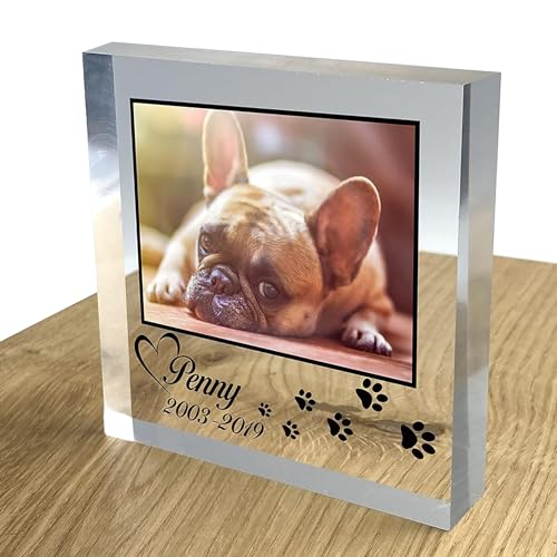 TULLUN Personalisierte Individuelle Benutzerdefinierte Haustier Denkmal Hund Katze Tier Acryl Kristall Klar Block 3D Effekt Plaque Plakette Foto Text Name Datum - Foto & Pfotenabdruck von TULLUN