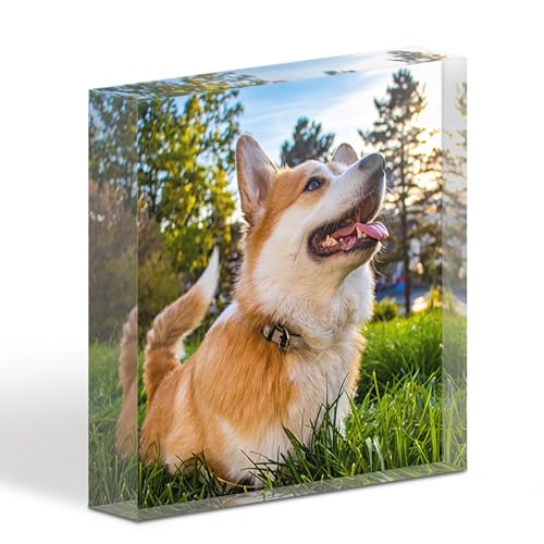 TULLUN Personalisierte Individuelle Benutzerdefinierte Haustier Denkmal Hund Katze Tier Acryl Kristall Klar Block Plaque Plakette Foto Text Name Datum - Vollständiger Druck 3D Effekt TULLUN Personalisierte Individuelle Benutzerdefinierte Haustier Denkmal Hund Katze Tier Acryl Kristall Klar Block Plaque Plakette Foto Text Name Datum - Vollständiger Druck 3D Effekt von TULLUN