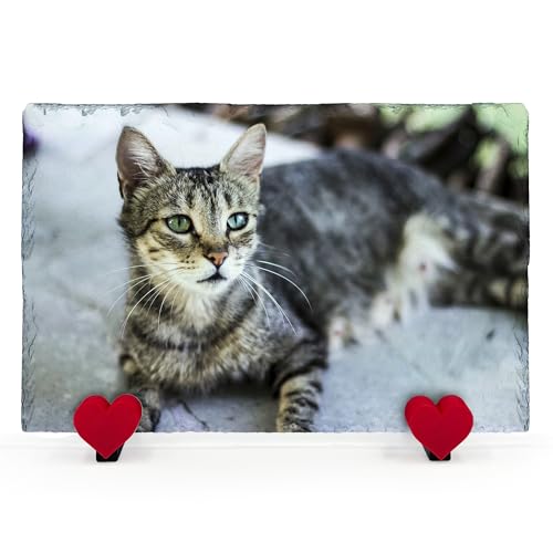 Personalisierte Memorial Herzform Foto Namenstafel für Haustier Katze Hund Schiefer Naturstein Rahmen Pfote Grab Marker mit Herz Display Ständer - Voller Druck - Horizontal | 20 x 30 cm | von TULLUN