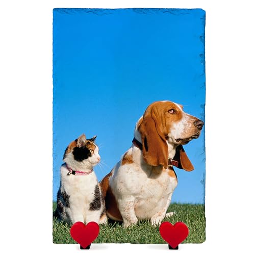 Personalisierte Memorial Herzform Foto Namenstafel für Haustier Katze Hund Schiefer Naturstein Rahmen Pfote Grab Marker mit Herz Display Ständer - Voller Druck - Vertikal | 20 x 30 cm | Personalisierte Memorial Herzform Foto Namenstafel für Haustier Katze Hund Schiefer Naturstein Rahmen Pfote Grab Marker mit Herz Display Ständer - Voller Druck - Vertikal | 20 x 30 cm | von TULLUN