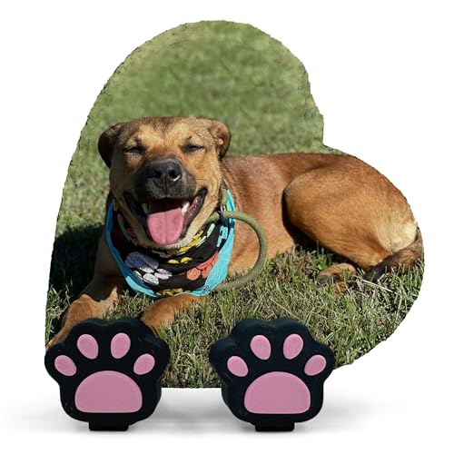 Personalisierte Memorial Herzform Foto Namenstafel für Haustier Katze Hund Schiefer Naturstein Rahmen Pfote Grab Marker mit Pfote Display Ständer - Full Print - V2 Größe | 10 x 10 cm | Personalisierte Memorial Herzform Foto Namenstafel für Haustier Katze Hund Schiefer Naturstein Rahmen Pfote Grab Marker mit Pfote Display Ständer - Full Print - V2 Größe | 10 x 10 cm | von TULLUN