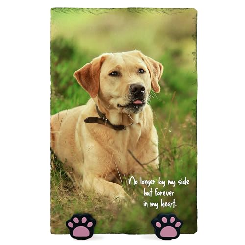 Personalisierte Memorial Herzform Foto Namenstafel für Haustier Katze Hund Schiefer Naturstein Rahmen Pfote Grab Marker mit Pfote Display Ständer - Voller Druck - Vertikal | 20 x 30 cm | Personalisierte Memorial Herzform Foto Namenstafel für Haustier Katze Hund Schiefer Naturstein Rahmen Pfote Grab Marker mit Pfote Display Ständer - Voller Druck - Vertikal | 20 x 30 cm | von TULLUN
