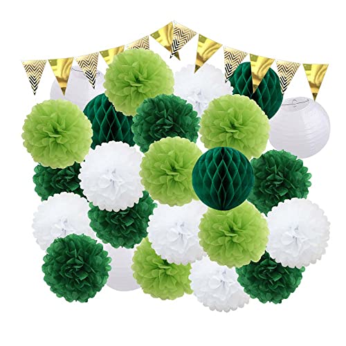Lampions,Papierlampion DIY 2. 5 teile/satz Dekor Rosa Hängende Papierhandwerk Junge Mädchen Sommer Party 20 cm Green Pompoment 8 "Laternen(C) von TUOYDJA