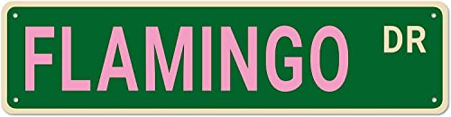 TUPLNO Flamingo Dr. Flamingo Decor – lustiges Wandschild für Zuhause/Schlafzimmer/Männerhöhle, hochwertiges Metallschild, 40,6 x 10,2 cm von TUPLNO
