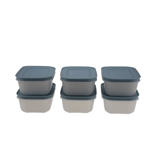TUPPERWARE Gefrier-Behälter 6x 450ml rauchblau Eis-Kristall Eiskristall + Mini Trichter Lila von TUPPERWARE Mikrowelle
