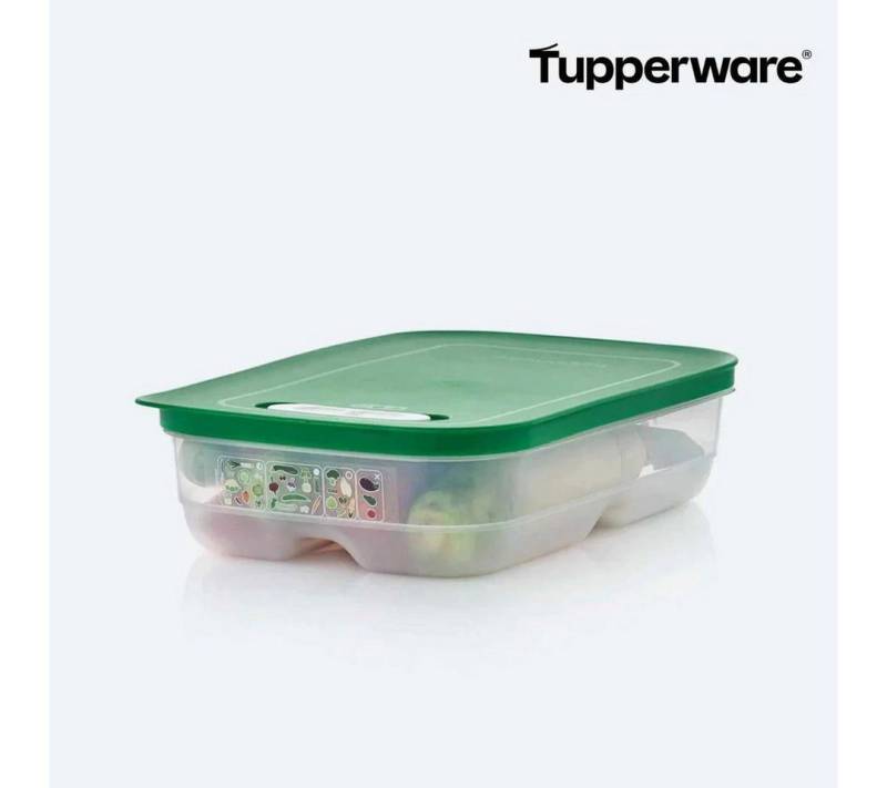 TUPPERWARE Frischhaltedose KlimaOase 1,8 l flach TUPPERWARE Frischhaltedose KlimaOase 1,8 l flach von TUPPERWARE