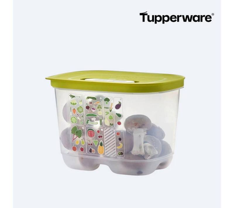 TUPPERWARE Frischhaltedose KlimaOase 1,8 l hoch TUPPERWARE Frischhaltedose KlimaOase 1,8 l hoch von TUPPERWARE