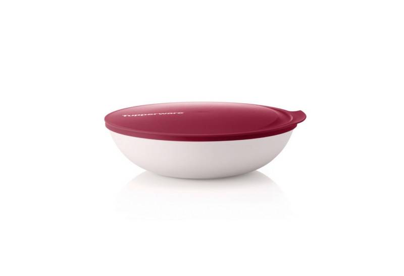 TUPPERWARE Servierschale Tupperware Allegra Schale 1,5 Liter in bordeaux rot/weiß TUPPERWARE Servierschale Tupperware Allegra Schale 1,5 Liter in bordeaux rot/weiß von TUPPERWARE