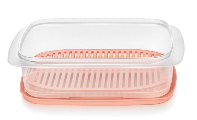 TUPPERWARE Vorratsdose Tupperware Cool'N Fresh Set Wurstbehälter Kühlschrank Box TUPPERWARE Vorratsdose Tupperware Cool'N Fresh Set Wurstbehälter Kühlschrank Box von TUPPERWARE