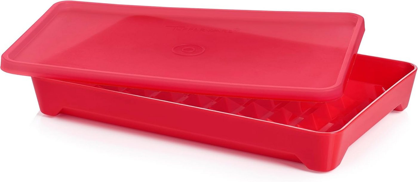 TUPPERWARE Vorratsdose Tupperware Hot Dog Behälter von TUPPERWARE