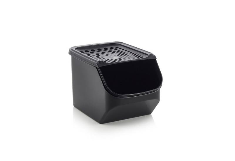 TUPPERWARE Vorratsdose Tupperware Zwiebellager schwarz für ca. 3 kg Zwiebeln von TUPPERWARE