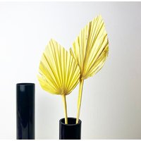 Gelbe Exotica. Getrocknete Und Gefärbte Palmfarne. Palmfarn. Palmblatt. Vasenfüller. Boho Dekor. Home. Topper. Palm Cake Topper von TUSflowers