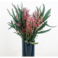 Letterbox Blumen , Konserviert Blumen. Schönes Natürliches Gesteck, Pink Bouquet Für Wohnkultur. Mini Trockenblumen Strauß von TUSflowers