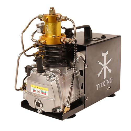 TUXING 4500 Psi PCP-Luftkompressor, Auto Purge und einstellbare Auto-Stopp-Version, Hochdruck-PCP-Pumpe für Air Gun Rifle Paintball 220 V TXES023 von TUXING