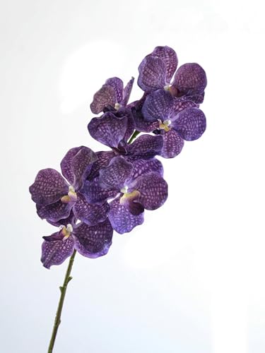 TVIVID Künstliche Vanda-Orchidee, fühlt sich echt an, künstliche Orchidee, Folral-Arrangement, realistische dekorative Vanda-Blume von TVIVID