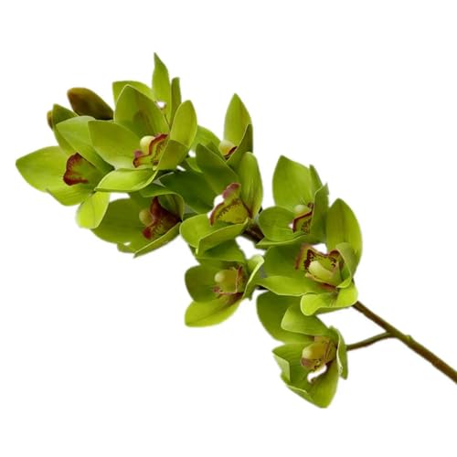 TVIVID PU-Orchideen, 3D-Druck-Effekt, Cymbidium, künstliche Orchidee, fühlt sich echt an, 6 Farben für Hochzeit, Tafelaufsatz, Heimdekorationsblumen TVIVID PU-Orchideen, 3D-Druck-Effekt, Cymbidium, künstliche Orchidee, fühlt sich echt an, 6 Farben für Hochzeit, Tafelaufsatz, Heimdekorationsblumen von TVIVID