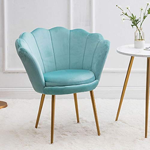 TWDYC Einzel Faule Sofa Licht Einzel Net Red Female Makeup Schlafzimmer Kleine Hocker Zurück Balkon Freizeit-Stuhl (Color : C) von TWDYC