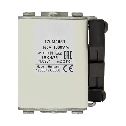 170M4921 170M4922 170M4923 170M4924 170M4925 170M4926 170M4927 170M4928 170M4929 170M4930 Sicherung 1 stücke(170M4930) von TWEFTPKD