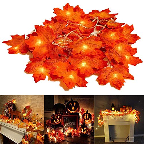 Ahornblätter Lichterketten 6M 40LED Ahornblatt Girlande Herbst Blättergirlande Dekoration Lichter Batteriebetrieben Herbst Deko Indoor Outdoor für Weihnachten,Festival Party von TWSOUL