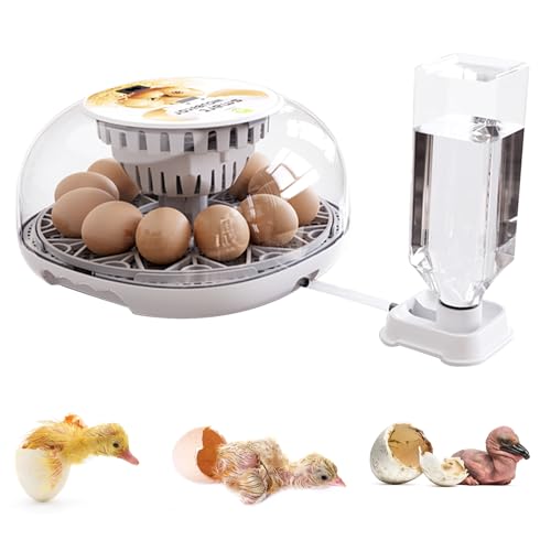 Inkubator Hühner Vollautomatisc, Automatischer Eierbrüter mit 12 Eiern und 300ML Automatische Wasserzufuhr, Inkubator mit Automatischer Eierwende und Temperaturregelung für Hühner, Enten, Gänse Inkubator Hühner Vollautomatisc, Automatischer Eierbrüter mit 12 Eiern und 300ML Automatische Wasserzufuhr, Inkubator mit Automatischer Eierwende und Temperaturregelung für Hühner, Enten, Gänse von TWSOUL