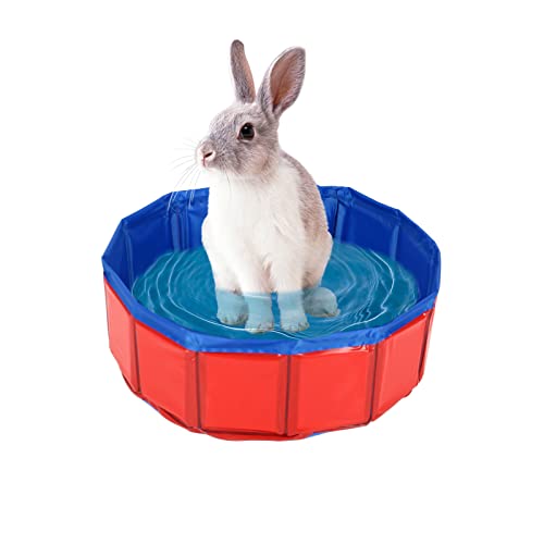 Kleine Hundepool Faltbarer Swimmingpool, Hundepool für Kleine Hunde, Ø50cm, Höhe 8cm, Faltbare Hunde Pools, Hundebadewanne Hundebad (Ø50cm, Höhe 8cm, A) von TWSOUL