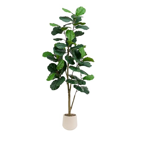 TXABL Kunstpflanze Fiddle Feigenbaum 150cm kunstpflanzen groß, Plastikpflanzen im Topf für drinnen und draußen, Künstliche Pflanzen Mit Weiß Topf für Home Decor Zimmerdeko Schlafzimmer Dekoration von TXABL