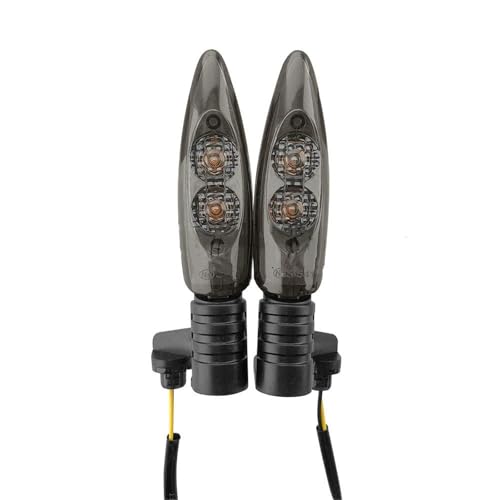 TXDBD Blinker Motorcycle Front Rear Turn Signals Light Indicators Blinker Lamp for B&MW C600 Sport F650GS F700GS F800GS F800R F800S F800ST S1000XR(Rauch,HINTEREN) von TXDBD