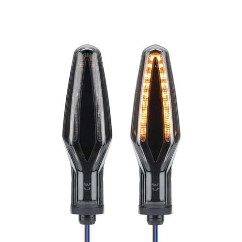 TXDBD Blinker Motorcycle Turn Signal Light Indicators Lamp for B&MW S1000RR S1000XR S1000R F900R F900XR R1200R R1200RS R1250R R1250RS R NineT(2 Stück) von TXDBD