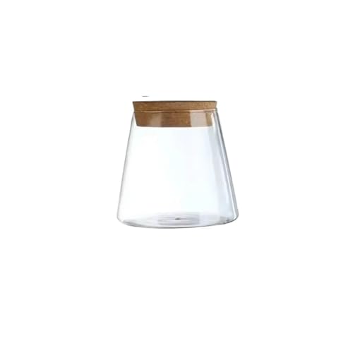 TXLEAPEY Hydroponische Vase aus Glas mit Tablett – Mini-Übertopf mit Selbstbewässerung for Tischpflanzen, einfaches Wohndekor(Color 1) von TXLEAPEY